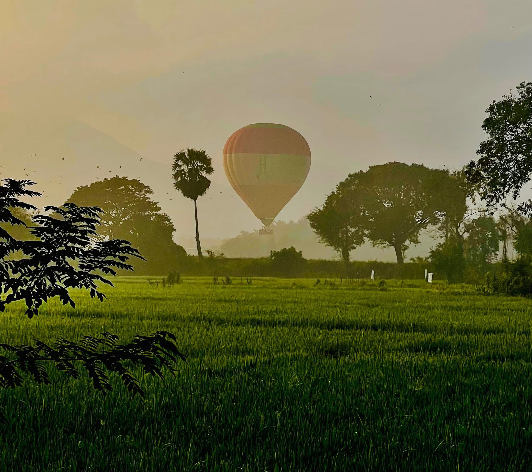 Elegance Villa lush surroundings